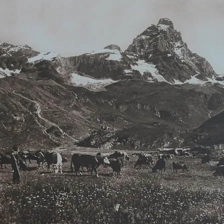 فندق Meuble' Joli 2*