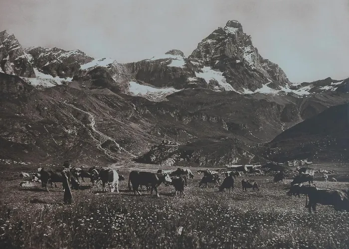 酒店 缪博卓利酒店 2*